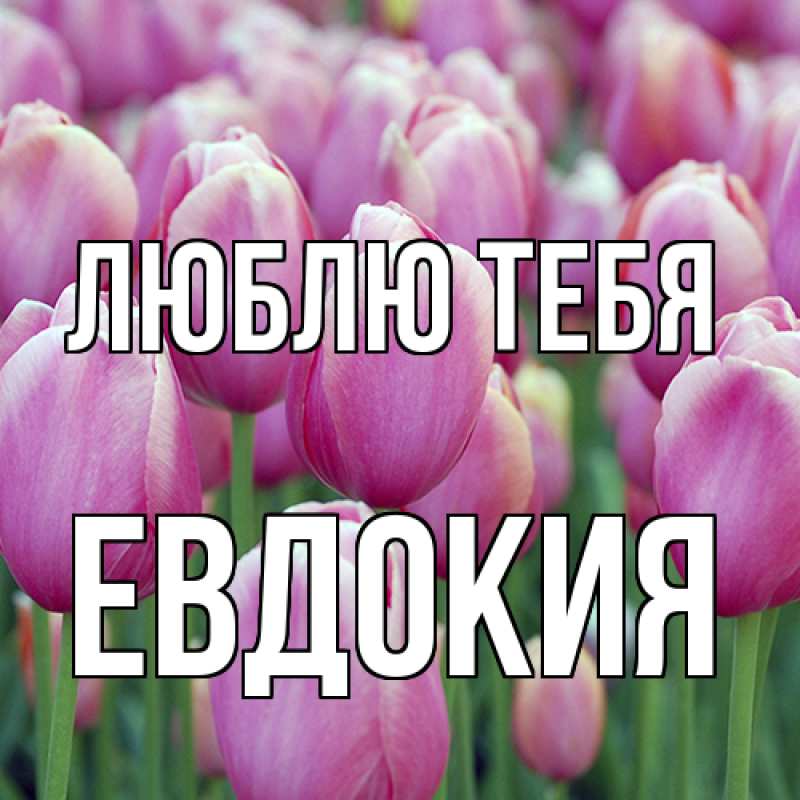 Картинка Люблю тебя, Евдокия