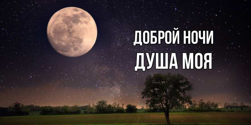 Картинка Доброй ночи, Душа моя