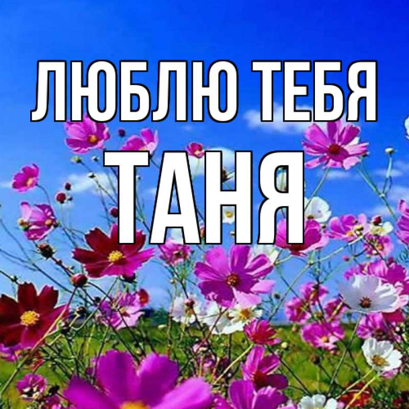 Картинка Люблю тебя, Таня