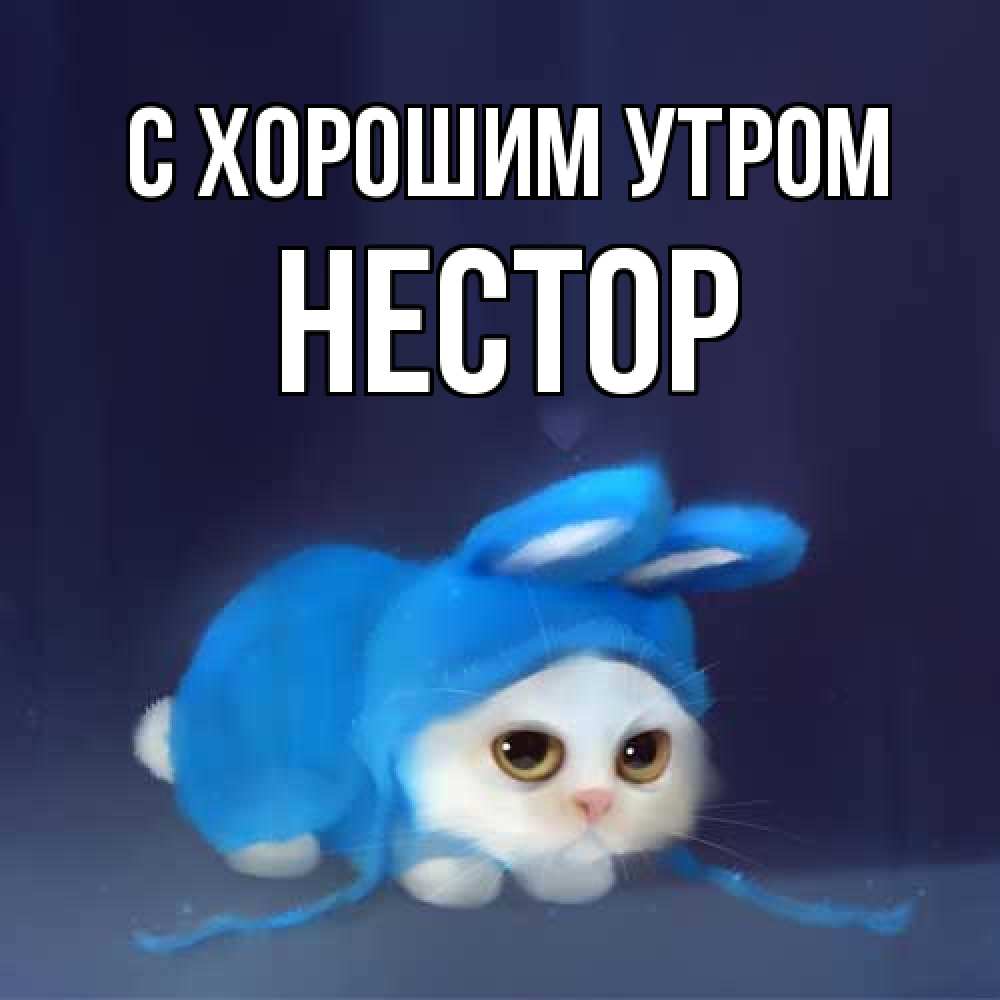 Открытка на каждый день с именем, Нестор С хорошим утром открытки красивые скачать бесплатно Прикольная открытка с пожеланием онлайн скачать бесплатно 