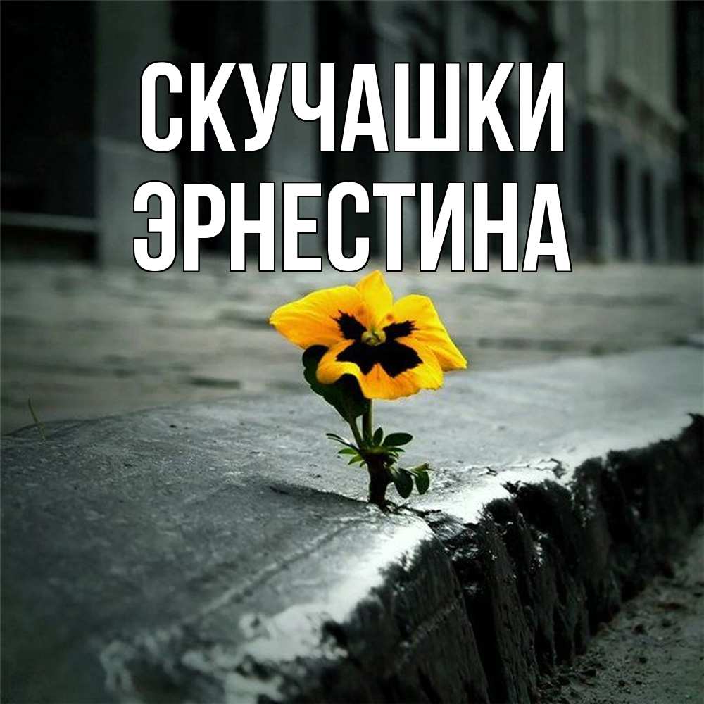 Открытка на каждый день с именем, Эрнестина Скучашки надеюсь будет лучше Прикольная открытка с пожеланием онлайн скачать бесплатно 