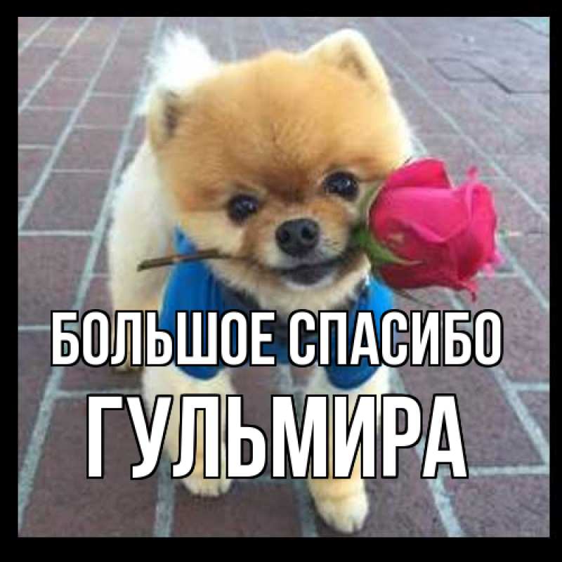 Открытка с именем, Гульмира, Большое спасибо