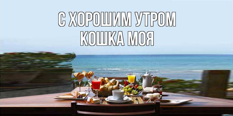 Картинка С хорошим утром, Кошка моя