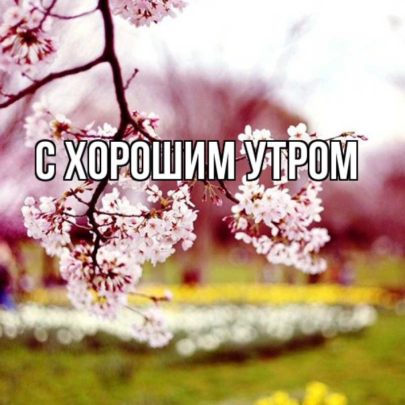Картинка Люблю тебя, Таня