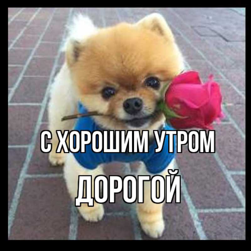 Картинка С хорошим утром, Дорогой