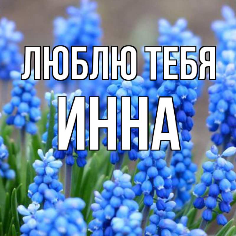 Картинка Люблю тебя, Инна