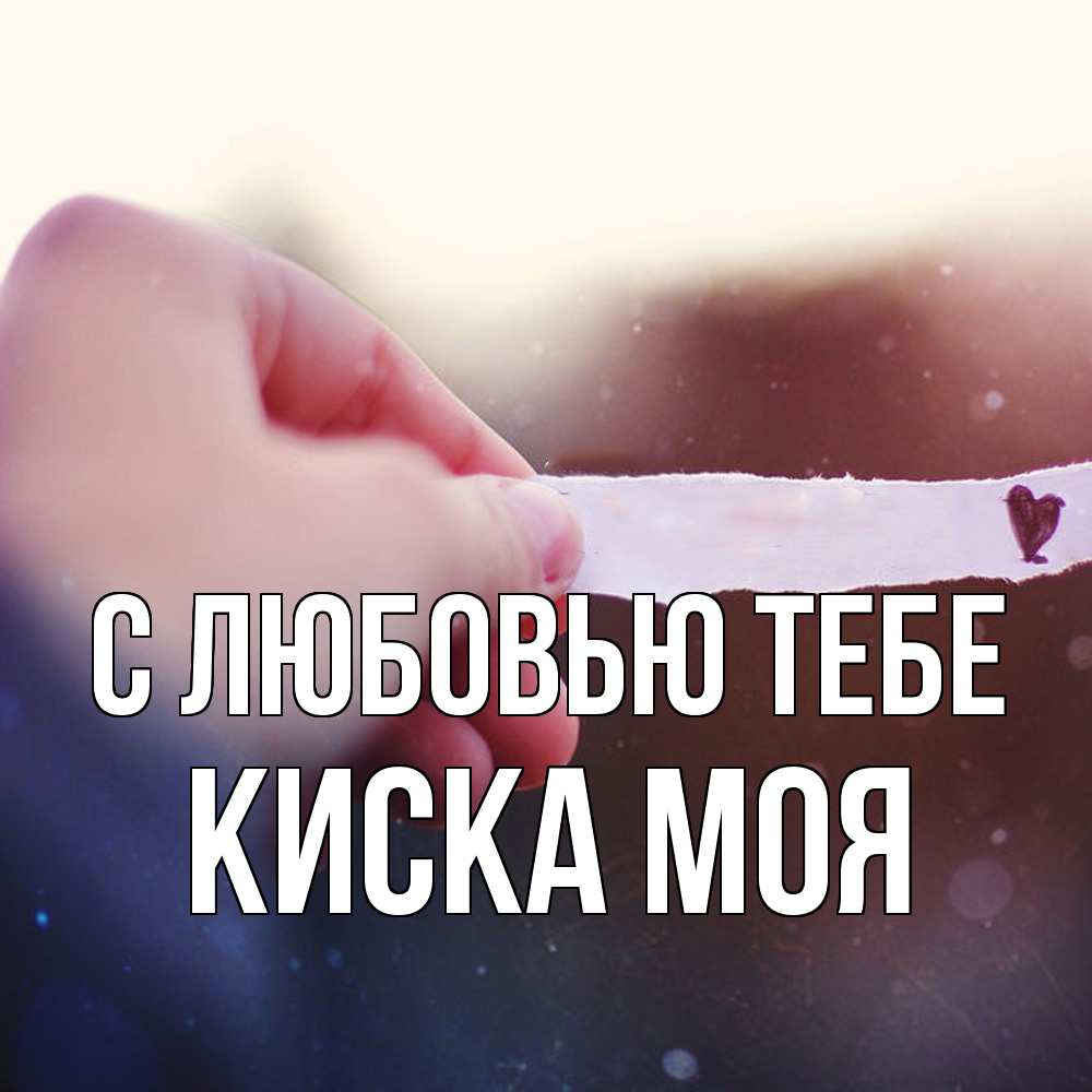 Открытка на каждый день с именем, Киска-моя С любовью тебе для тебя Прикольная открытка с пожеланием онлайн скачать бесплатно 