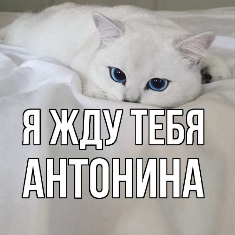 Открытка с именем, Антонина, Я жду тебя