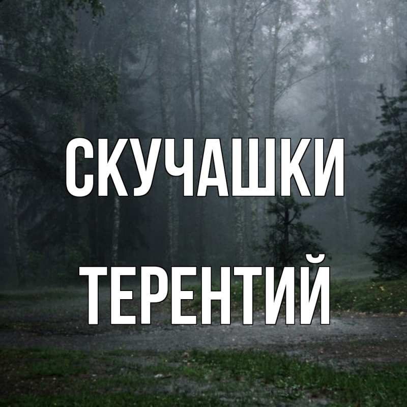 Картинка Скучашки, Терентий