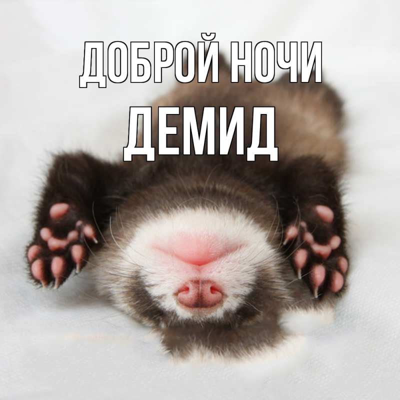 Картинка Доброй ночи, Демид