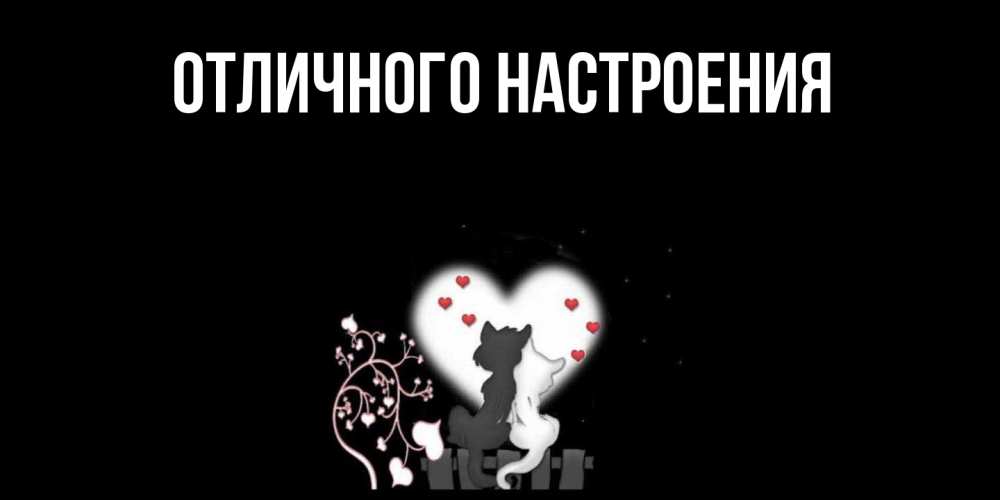 Открытка на каждый день с именем, Песподобная Скучашки коты Прикольная открытка с пожеланием онлайн скачать бесплатно 