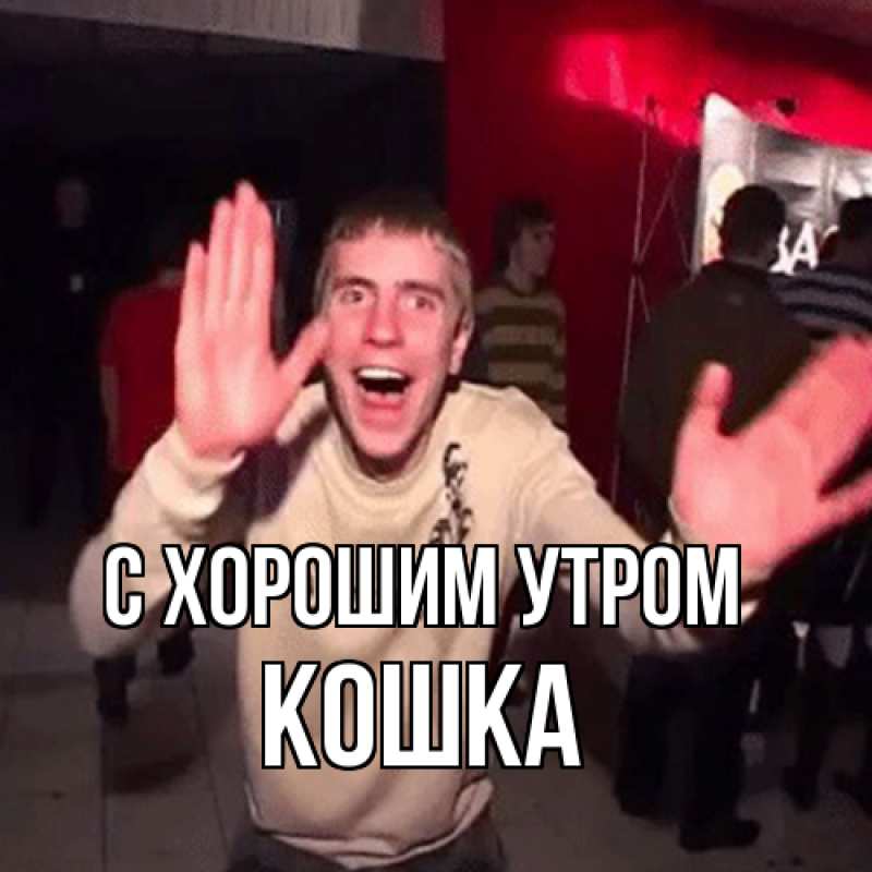 Картинка С хорошим утром, Кошка