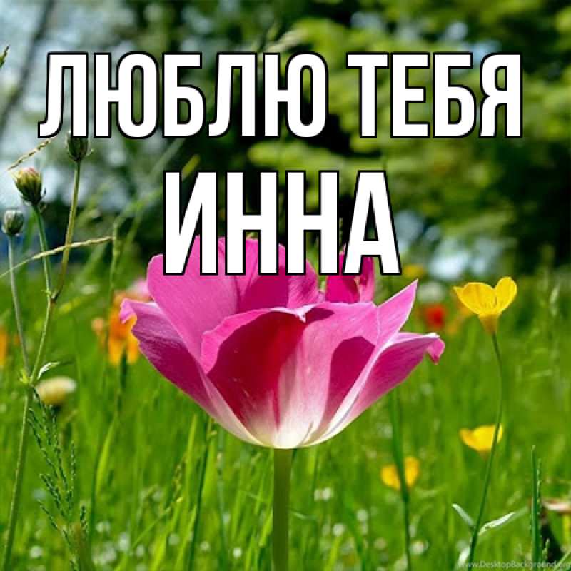 Картинка Люблю тебя, Инна