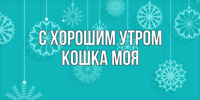 Картинка С хорошим утром, Кошка моя