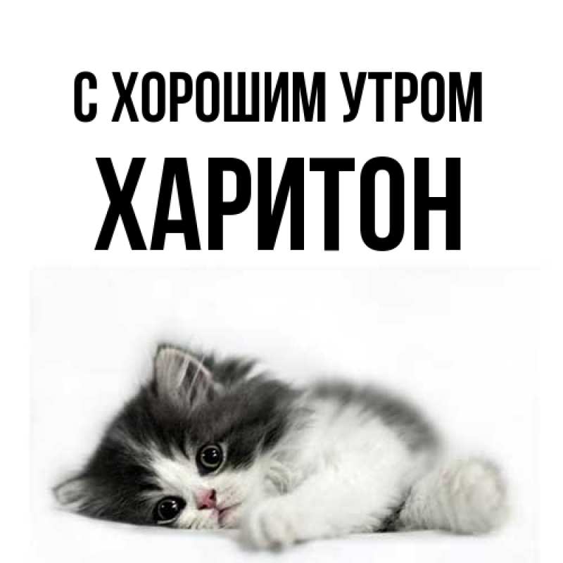 Картинка С хорошим утром, Харитон