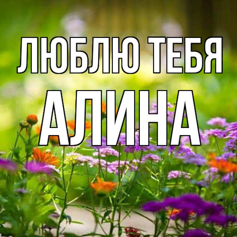 Картинка Люблю тебя, Алина