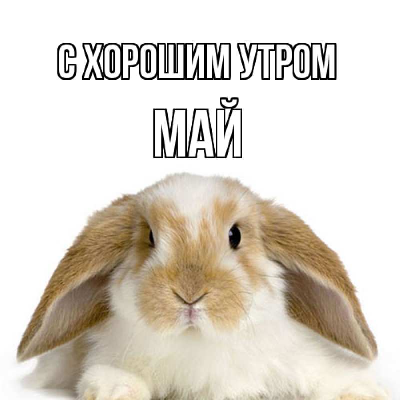 Картинка С хорошим утром, Май