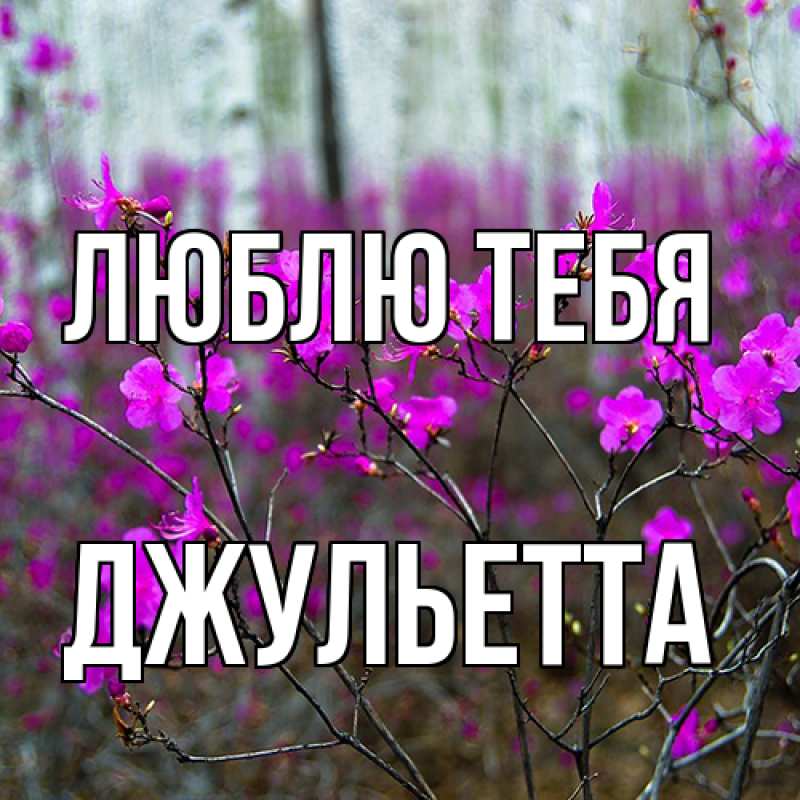 Картинка Люблю тебя, Джульетта