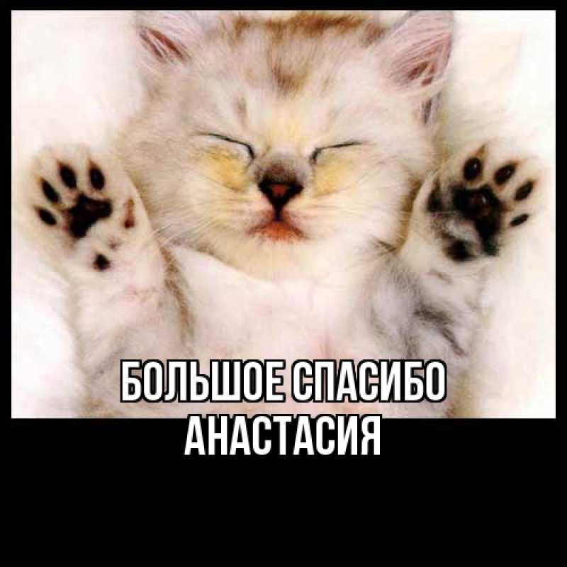 Картинка Большое спасибо, Анастасия