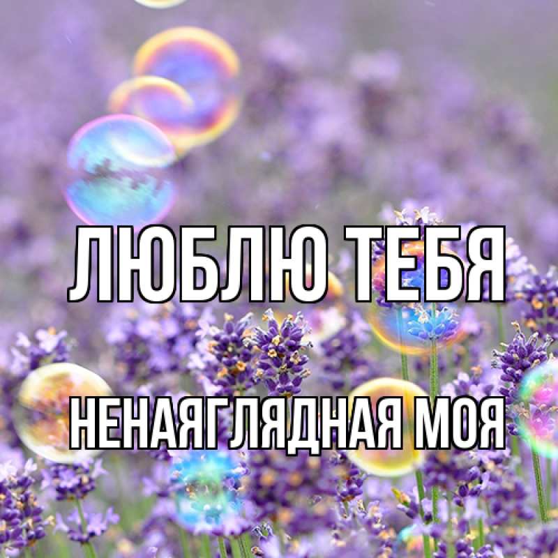 Картинка Люблю тебя, Ненаяглядная моя