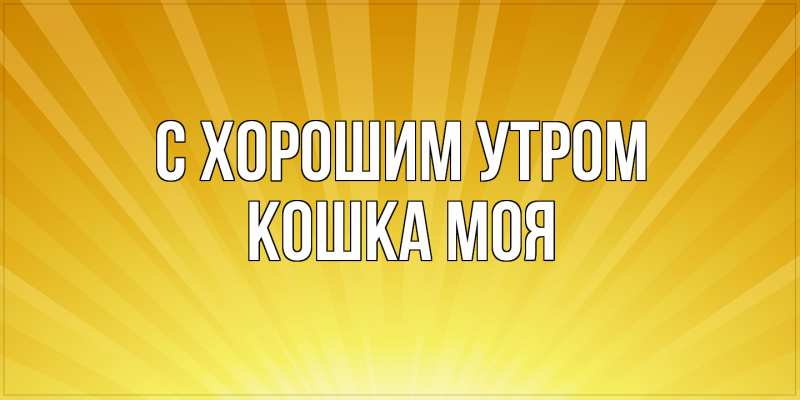 Картинка С хорошим утром, Кошка моя