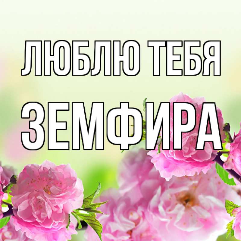 Картинка Люблю тебя, Земфира