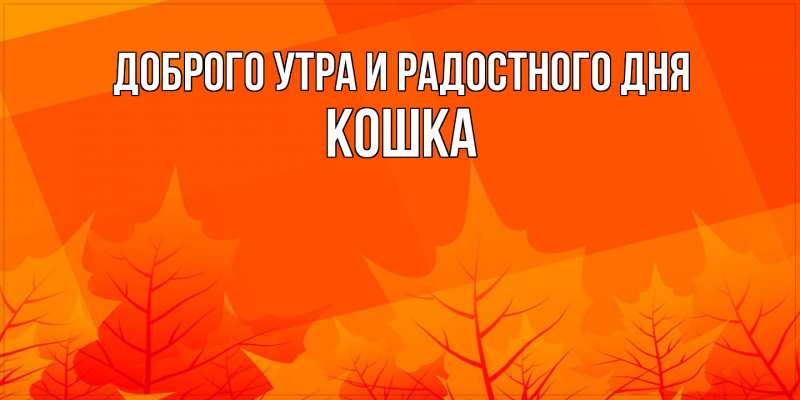 Картинка Доброго утра и радостного дня, Кошка