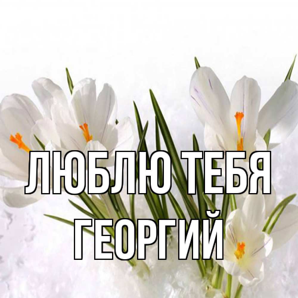 Открытка на каждый день с именем, Георгий Люблю тебя под снегом Прикольная открытка с пожеланием онлайн скачать бесплатно 