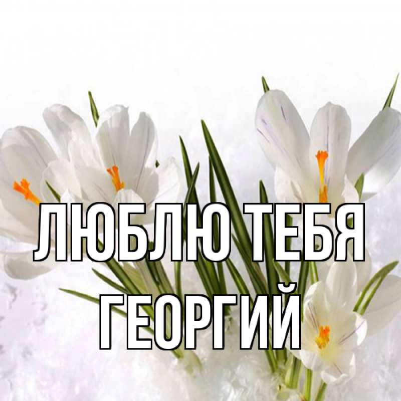Картинка Люблю тебя, Георгий