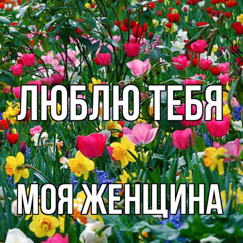 Картинка Люблю тебя, Моя женщина