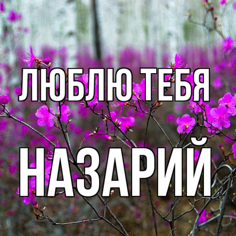 Открытка с именем, Назарий, Люблю тебя