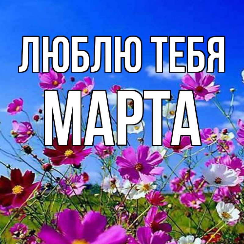 Картинка Люблю тебя, Марта