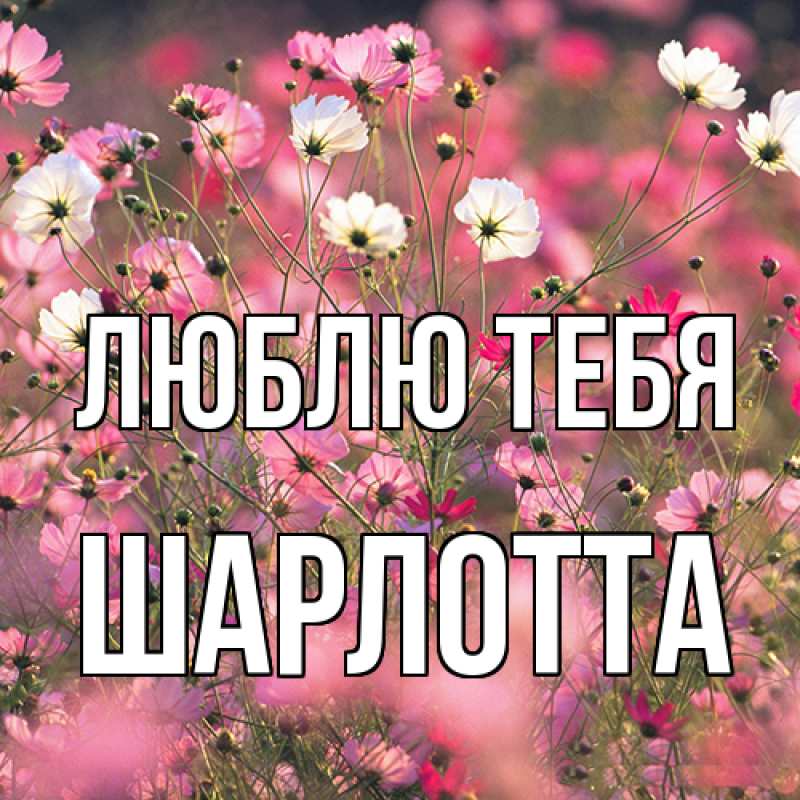 Открытка с именем, Шарлотта, Люблю тебя
