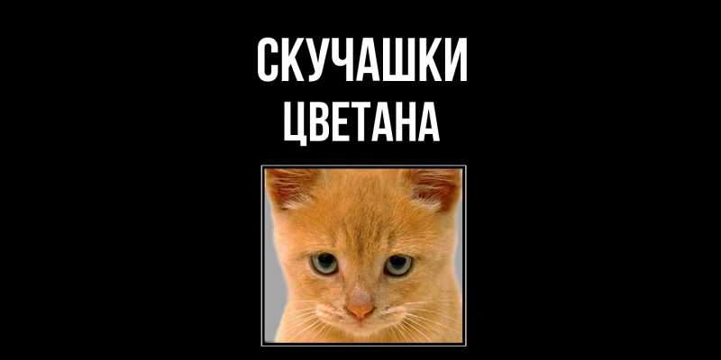 Картинка Скучашки, Цветана