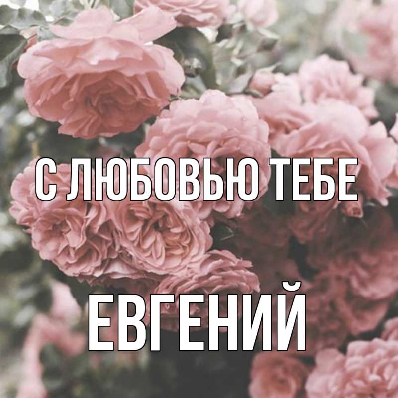 Картинка С любовью тебе, Евгений