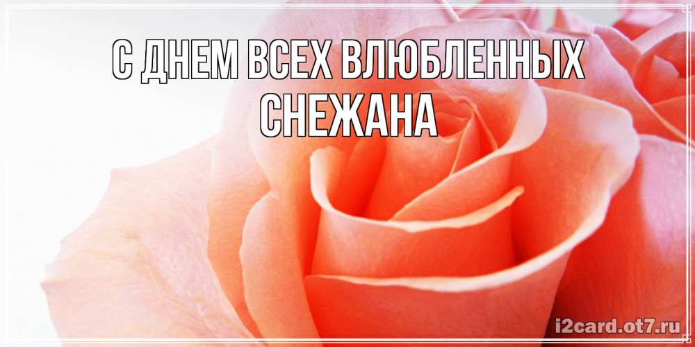 Открытка на каждый день с именем, Снежана С днем всех влюбленных открытка на день Святого Валентина с розовой розой Прикольная открытка с пожеланием онлайн скачать бесплатно 