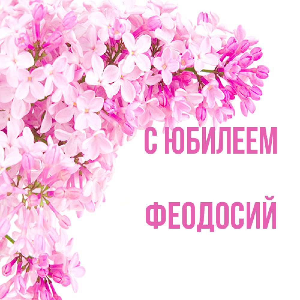 Открытка на каждый день с именем, Феодосий C юбилеем Сирень на белом фоне Прикольная открытка с пожеланием онлайн скачать бесплатно 