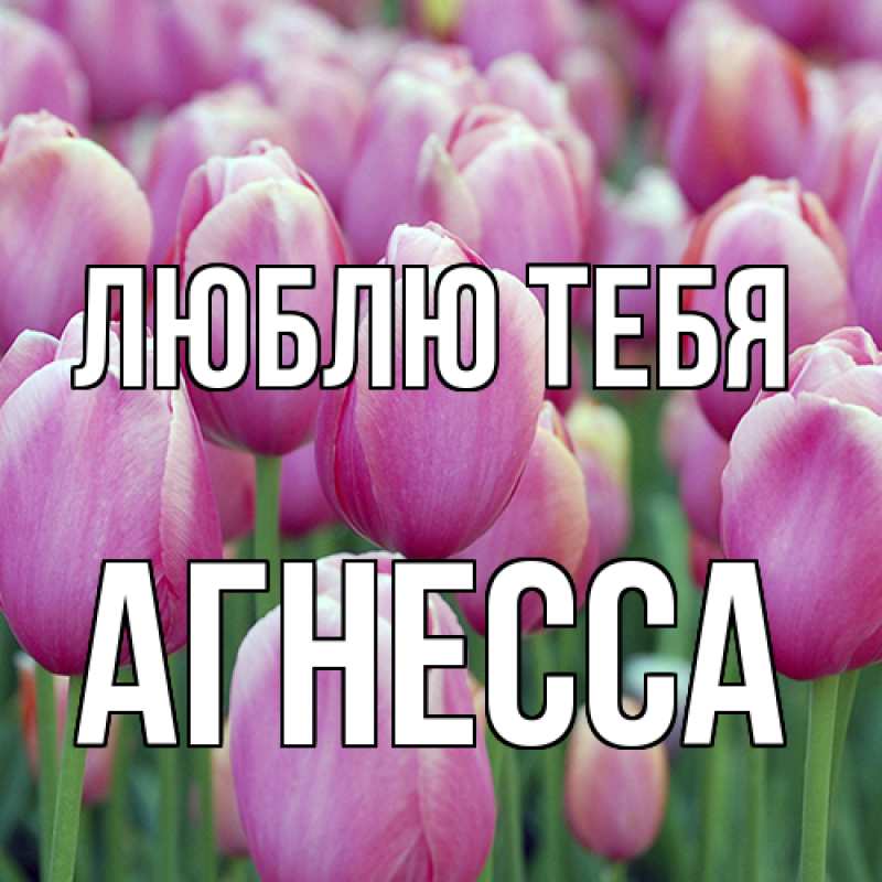 Картинка Люблю тебя, Агнесса