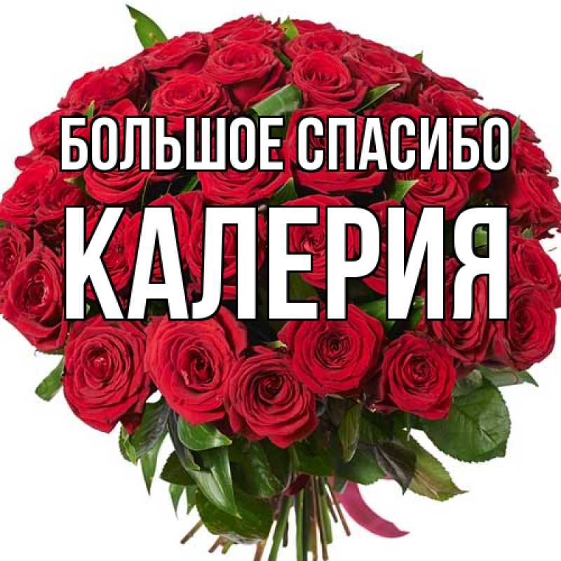 Картинка Большое спасибо, Калерия