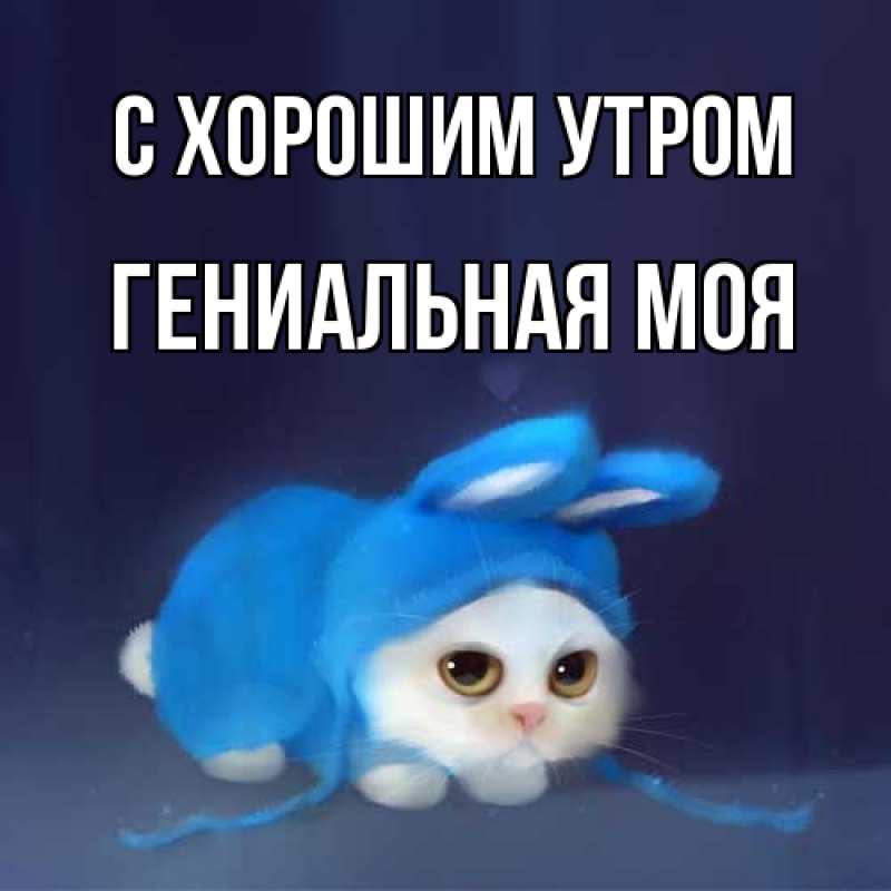 Картинка С хорошим утром, Гениальная моя