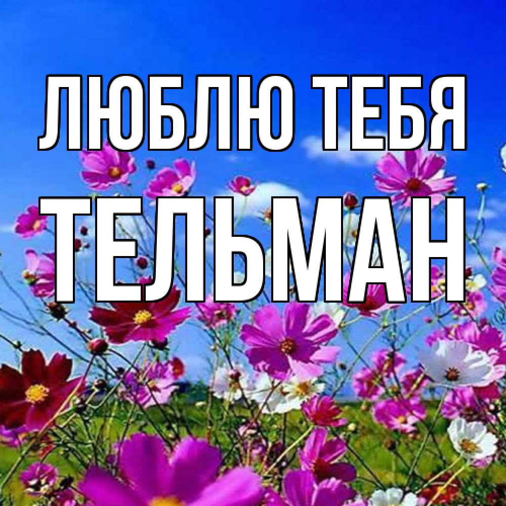 Открытка на каждый день с именем, Тельман Люблю тебя цветы Прикольная открытка с пожеланием онлайн скачать бесплатно 