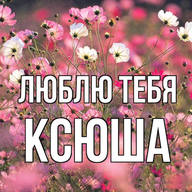 Картинка Люблю тебя, Ксюша