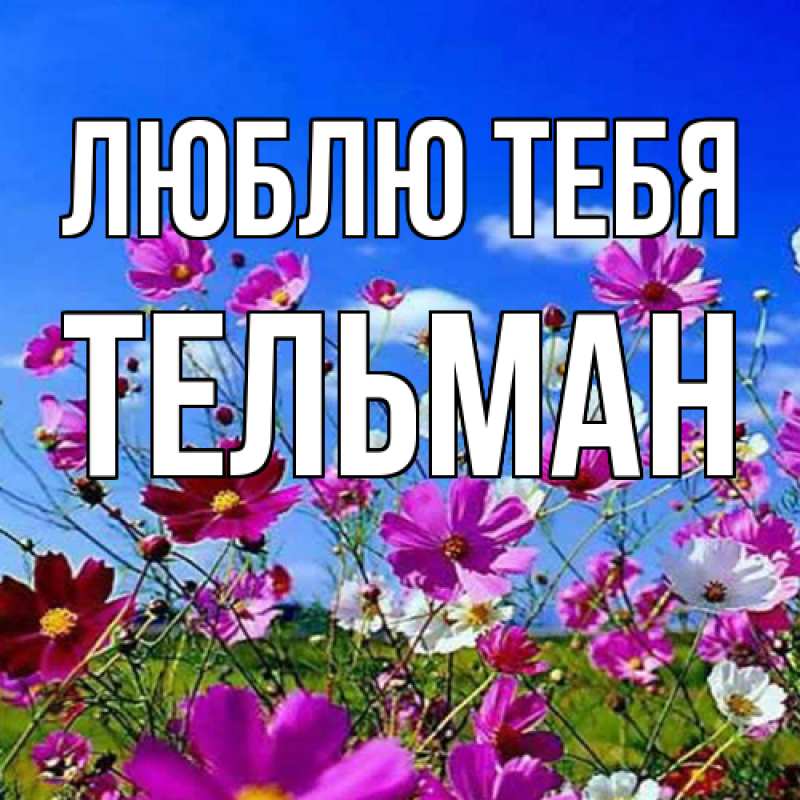 Картинка Люблю тебя, Тельман