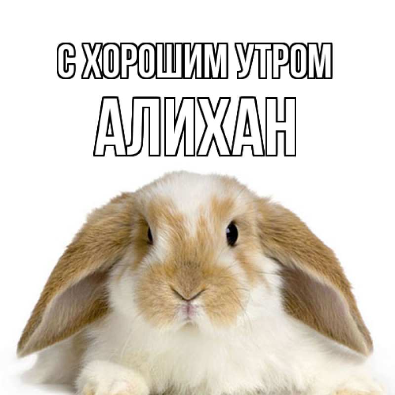 Картинка С хорошим утром, Алихан