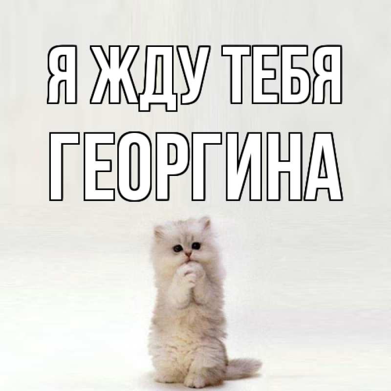 Картинка Я жду тебя, Георгина