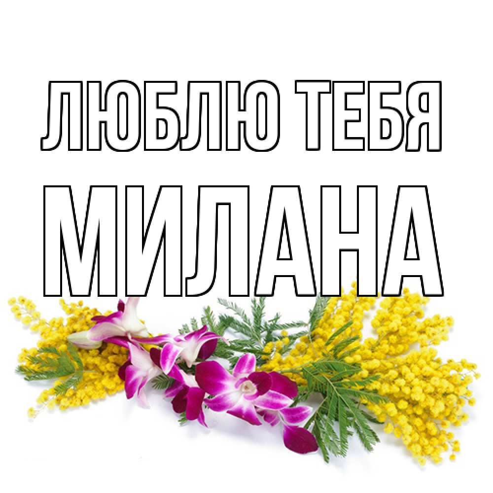 Открытка на каждый день с именем, Милана Люблю тебя открытка на международный женский день с цветами  1 Прикольная открытка с пожеланием онлайн скачать бесплатно 