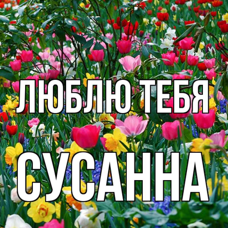 Открытка с именем, Сусанна, Люблю тебя