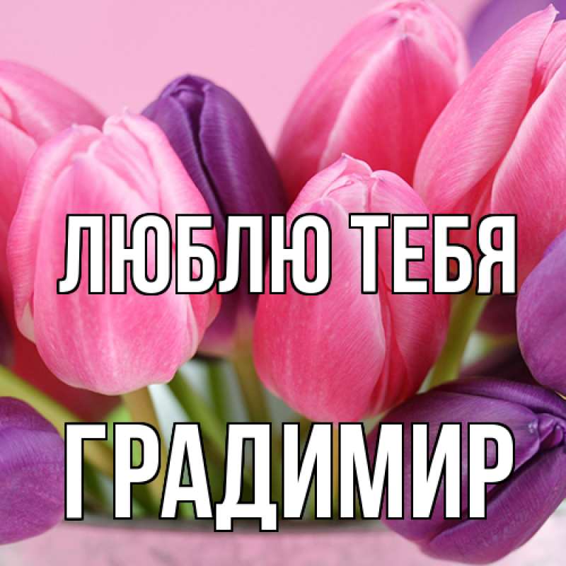 Картинка Люблю тебя, Градимир
