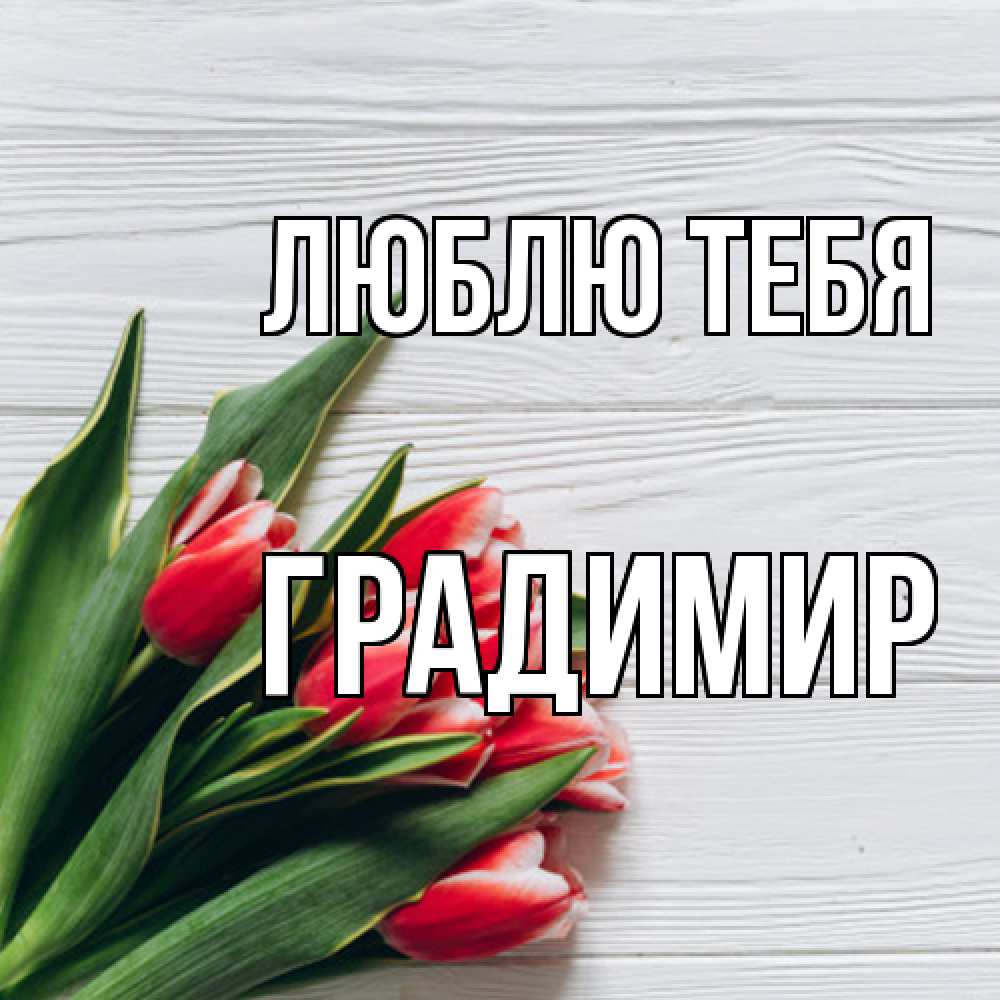 Открытка на каждый день с именем, Градимир Люблю тебя весна 2 Прикольная открытка с пожеланием онлайн скачать бесплатно 