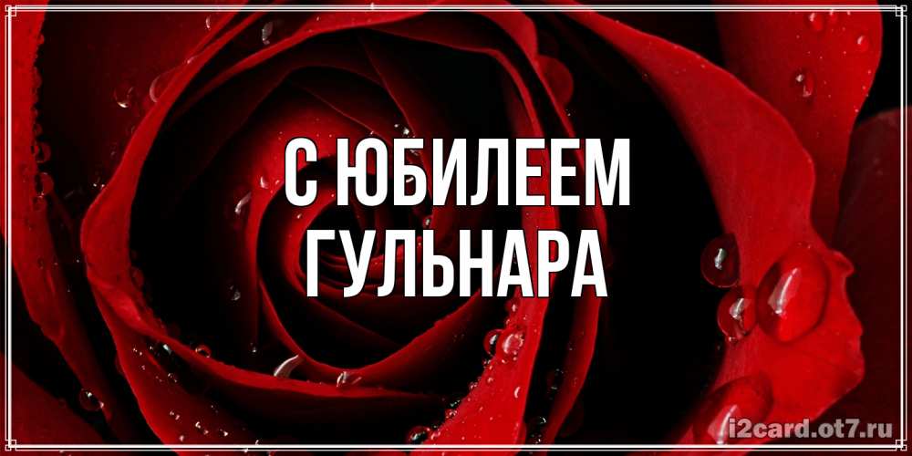 Открытка на каждый день с именем, Гульнара C юбилеем крупная бордовая роза Прикольная открытка с пожеланием онлайн скачать бесплатно 